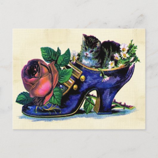 Vintage Kitten in Lady's Shoe Briefkaart (Voorkant)