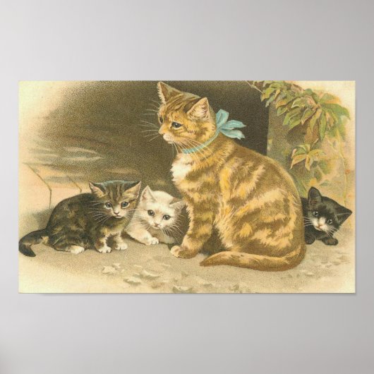 Vintage Kitten Poster (Voorkant)