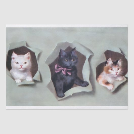 Vintage kittens breaking through gift wrap cute tissuepapier (Voorkant)
