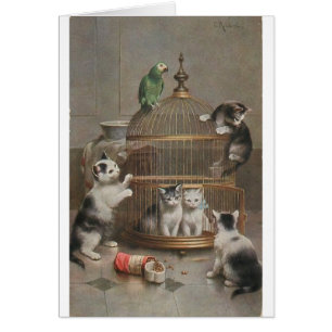 Vintage - Kittens en Parrot,