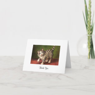 Vintage Kittens Kaart Wenskaart