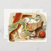Vintage Kittens met Fun Briefkaart (Voorkant / Achterkant)