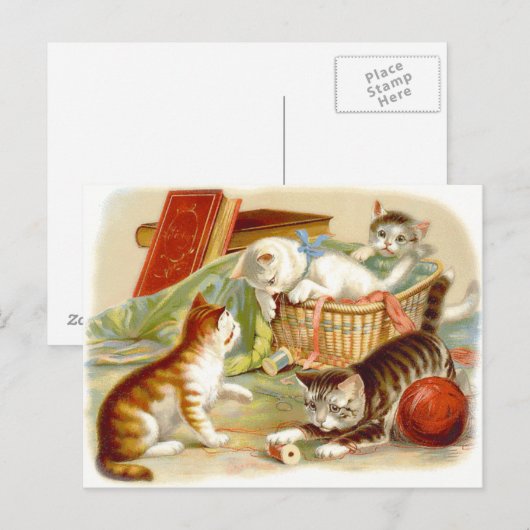 Vintage Kittens met Fun Briefkaart (Voorkant / Achterkant)