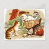 Vintage Kittens met Fun Briefkaart (Voorkant)