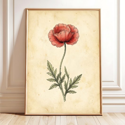 Vintage Klaproos Kunstprint Canvas Poster