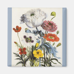 Vintage klaprozen in de tuin, Victoriaanse bloemen Magneet