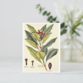 Vintage klaveren illustratie briefkaart recept kaa (Staand voorkant)