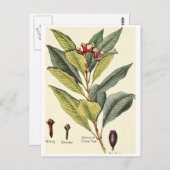 Vintage klaveren illustratie briefkaart recept kaa (Voorkant / Achterkant)