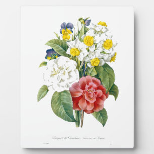 vintage kleurrijke botanische bloemen van Redoute. Fotoplaat