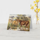 Vintage Koeien/het Wenskaart van het Weiland Kaart (Gele Bloem)