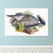 Vintage Koklass-fazant-vogel Canvas Afdruk (Insitu (Houten vloer))