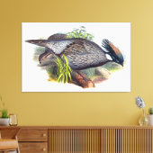 Vintage Koklass-fazant-vogel Canvas Afdruk (Insitu (Woonkamer))