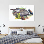 Vintage Koklass-fazant-vogel Canvas Afdruk (Insitu (Slaapkamer))