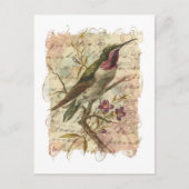 Vintage Kolibrie Collage Briefkaart (Voorkant)