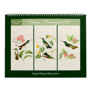Vintage Kolibrie Kunst 2027 Kalender
