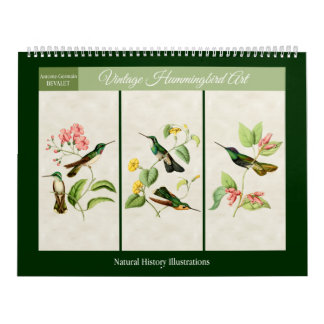 Vintage Kolibrie Kunst 2027 Kalender