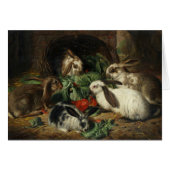 Vintage - konijnen die samen eten , (Voorkant Horizontaal)