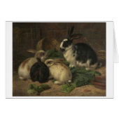 Vintage - konijnenoorsla, (Voorkant Horizontaal)