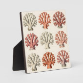 Vintage Koraal Specimens Botanische Mariene  Fotoplaat (Voorkant)