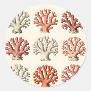 Vintage Koraal Specimens Botanische Mariene Ronde Sticker