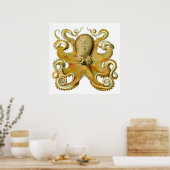Vintage Kraken, Octopus Gamochonia, Ernst Haeckel Poster (Keuken)