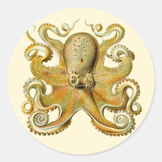 Vintage Kraken, Octopus Gamochonia, Ernst Haeckel Ronde Sticker (Voorkant)