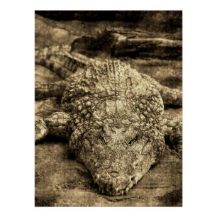 Vintage Krokodil Perfect Poster