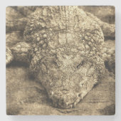 Vintage Krokodil Stenen Onderzetter (Voorkant)