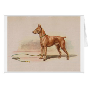 Vintage Kunstwerk - MiniatuurHond Pinscher,