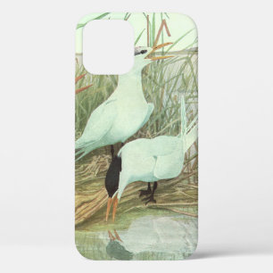 Vintage kustvogels in een moeras van Louis Fuertes iPhone 12 Hoesje