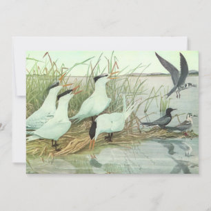 Vintage kustvogels in een moeras van Louis Fuertes Kaart