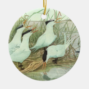 Vintage kustvogels in een moeras van Louis Fuertes Keramisch Ornament