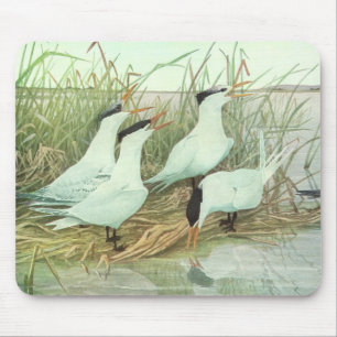 Vintage kustvogels in een moeras van Louis Fuertes Muismat