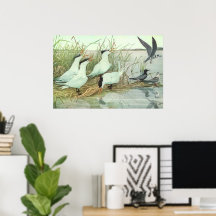 Vintage kustvogels in een moeras van Louis Fuertes
