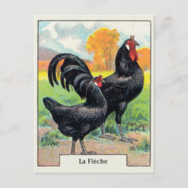 Vintage La Fleche Chicken Briefkaart