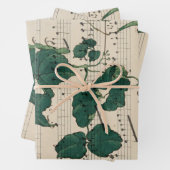 Vintage lakens inpakpapier vel (In situ)