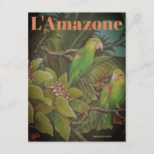 Vintage L'Amazone Travel Briefkaart