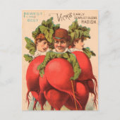 VINTAGE : landbouw adverteren - Briefkaart (Voorkant)