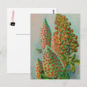 VINTAGE : landbouw adverteren - Briefkaart (Voorkant / Achterkant)