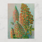 VINTAGE : landbouw adverteren - Briefkaart (Voorkant)