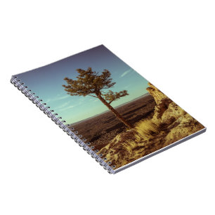 Vintage landschap VS Notitieboek