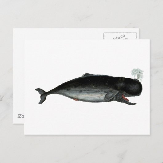 Vintage Laughing Whale Briefkaart (Voorkant / Achterkant)