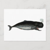 Vintage Laughing Whale Briefkaart (Voorkant)