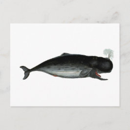 Vintage Laughing Whale Briefkaart