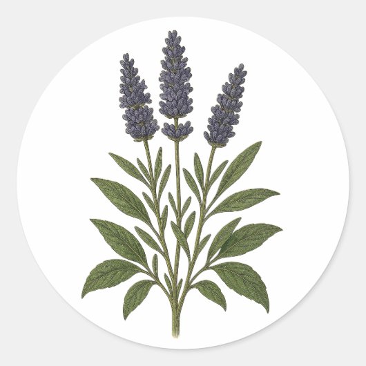 Vintage lavendel sticker - rond (Voorkant)