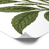 Vintage Lavender Poster (Hoek)