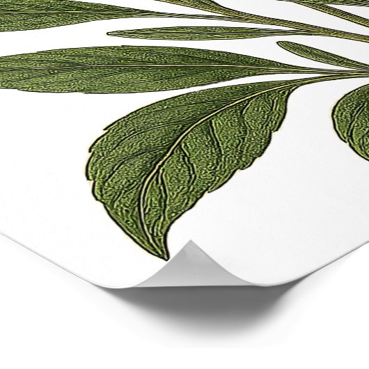 Vintage Lavender Poster (Hoek)