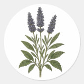 Vintage Lavender Sticker - round (Voorkant)