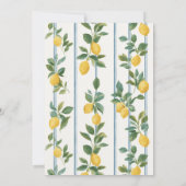 Vintage lemons Baby Shower Kaart (Achterkant)