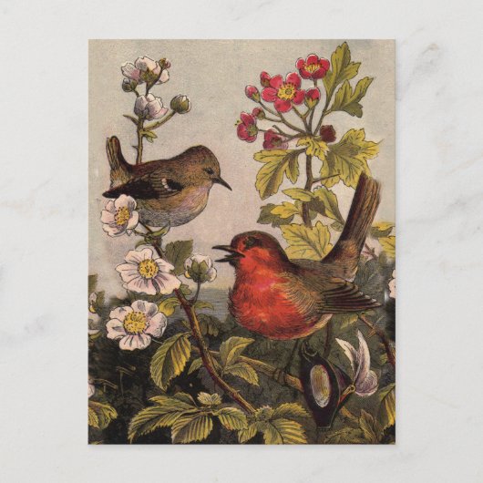 Vintage Lente Roodborst Zangvogels Botanische Bloe Briefkaart (Voorkant)